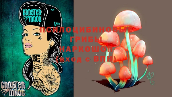 мескалин Елизово