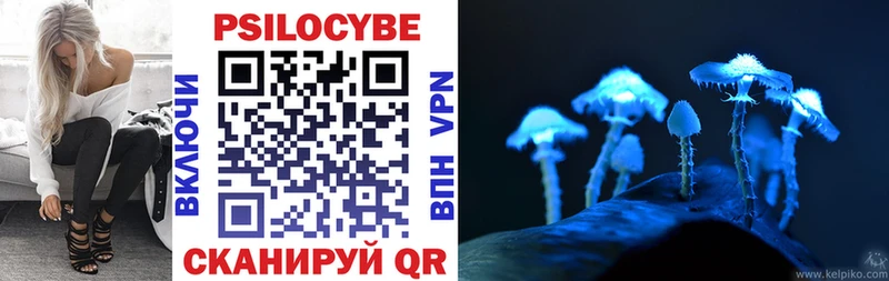 Купить  Суздаль  Галлюциногенные грибы Magic Shrooms 